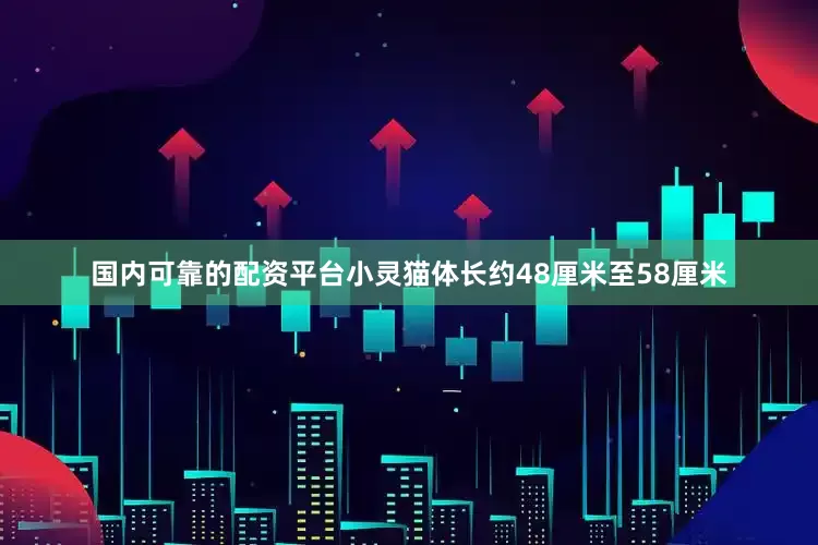 国内可靠的配资平台小灵猫体长约48厘米至58厘米