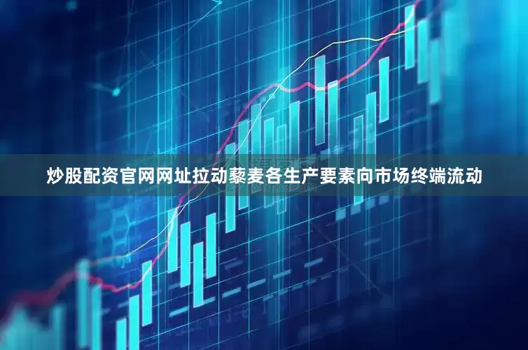 炒股配资官网网址拉动藜麦各生产要素向市场终端流动